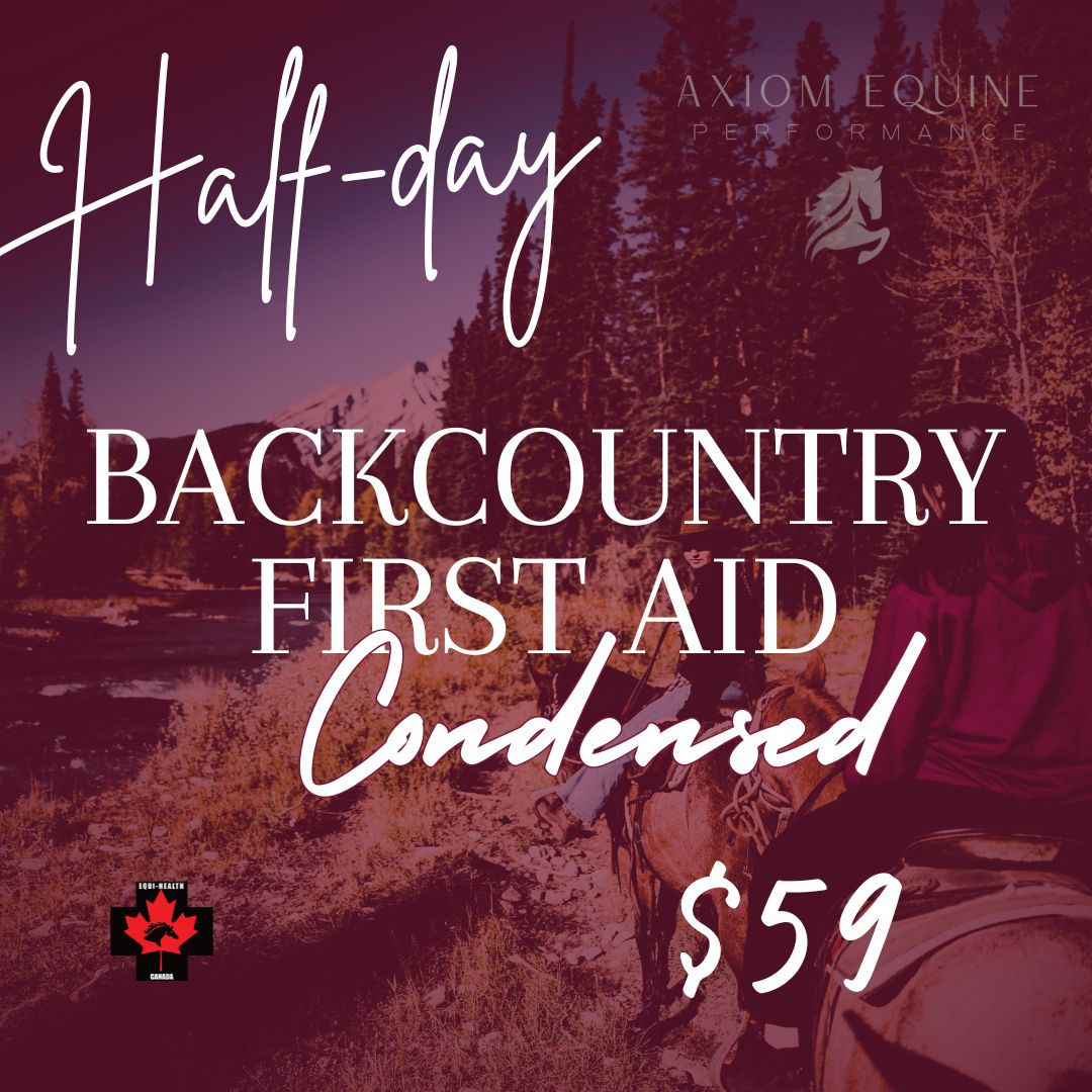 Backcountry First Aid Condensed (Half Day – 3 hrs)