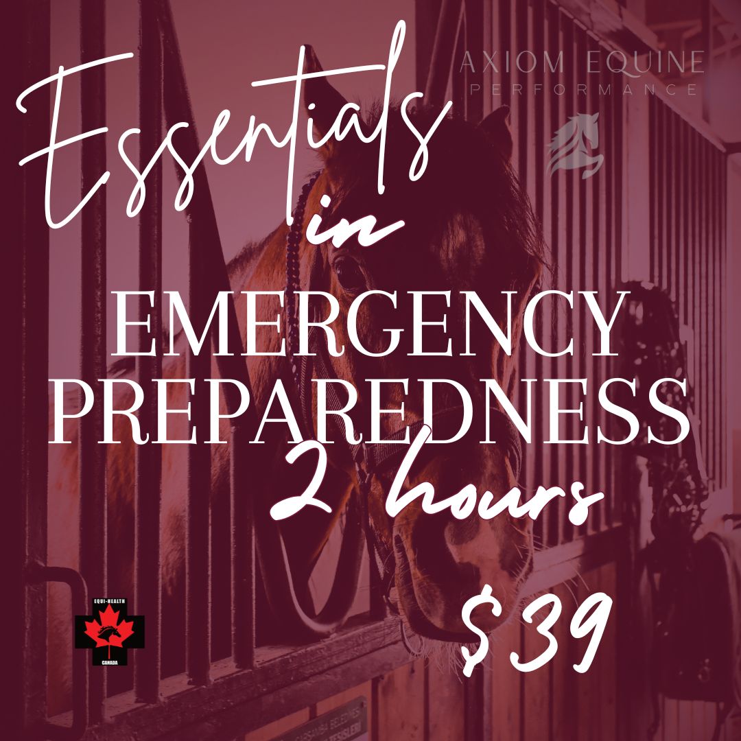 Essentials in Emergency Preparedness (2 hrs)