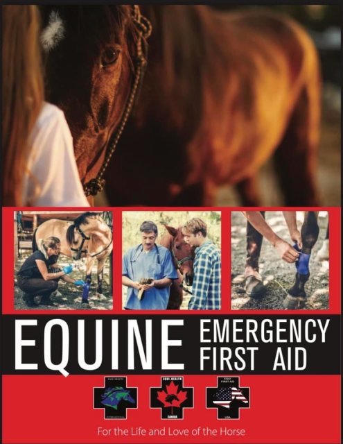 Equine Health & Emergency First Aid – Level 1 (Full Day)