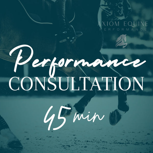 Performance Consultation (45 min)