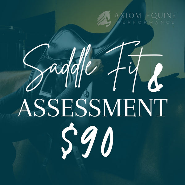 Saddle Fit & Assessment