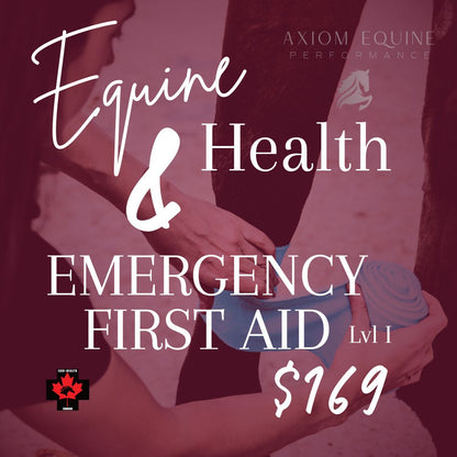 Equine Health & Emergency First Aid – Level 1 (Full Day)
