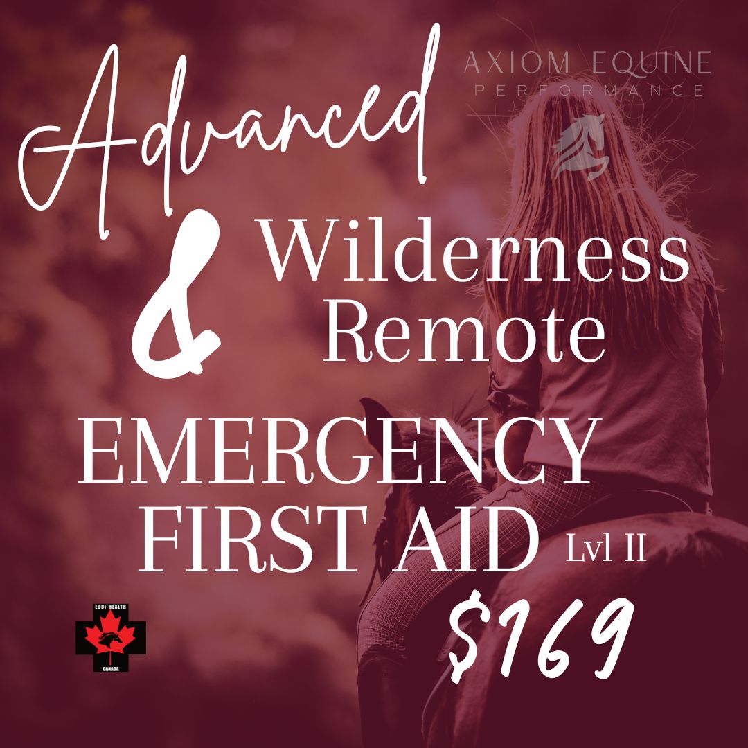 Advanced Wilderness & Remote First Aid – Level 2 (Full Day)