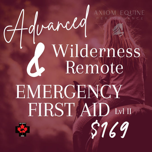 Advanced Wilderness & Remote First Aid – Level 2 (Full Day)