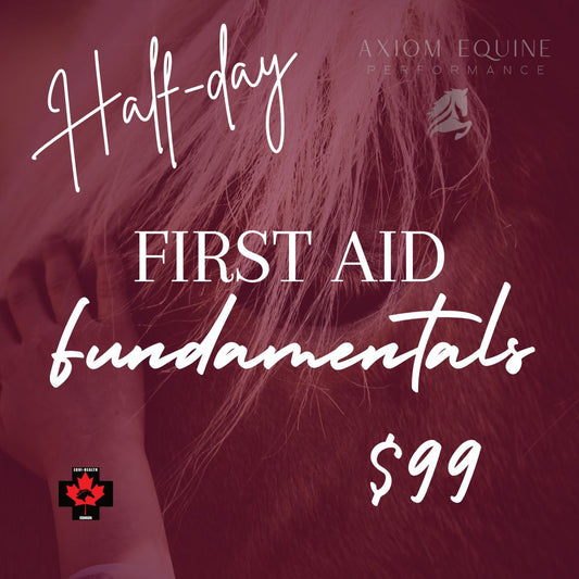 First Aid Fundamentals (Half Day – 3 hrs)