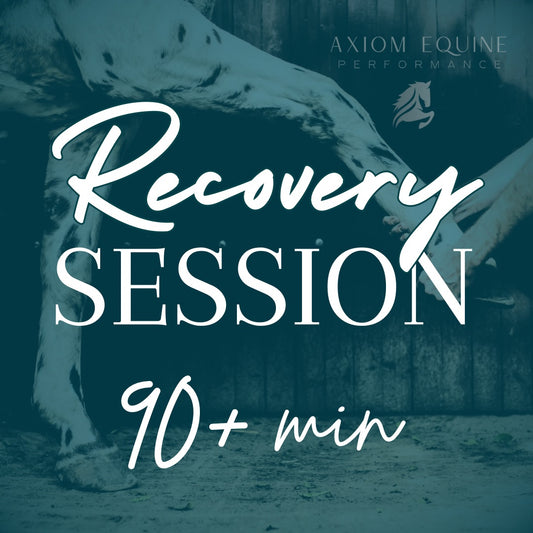 Recovery Session (90+ min)