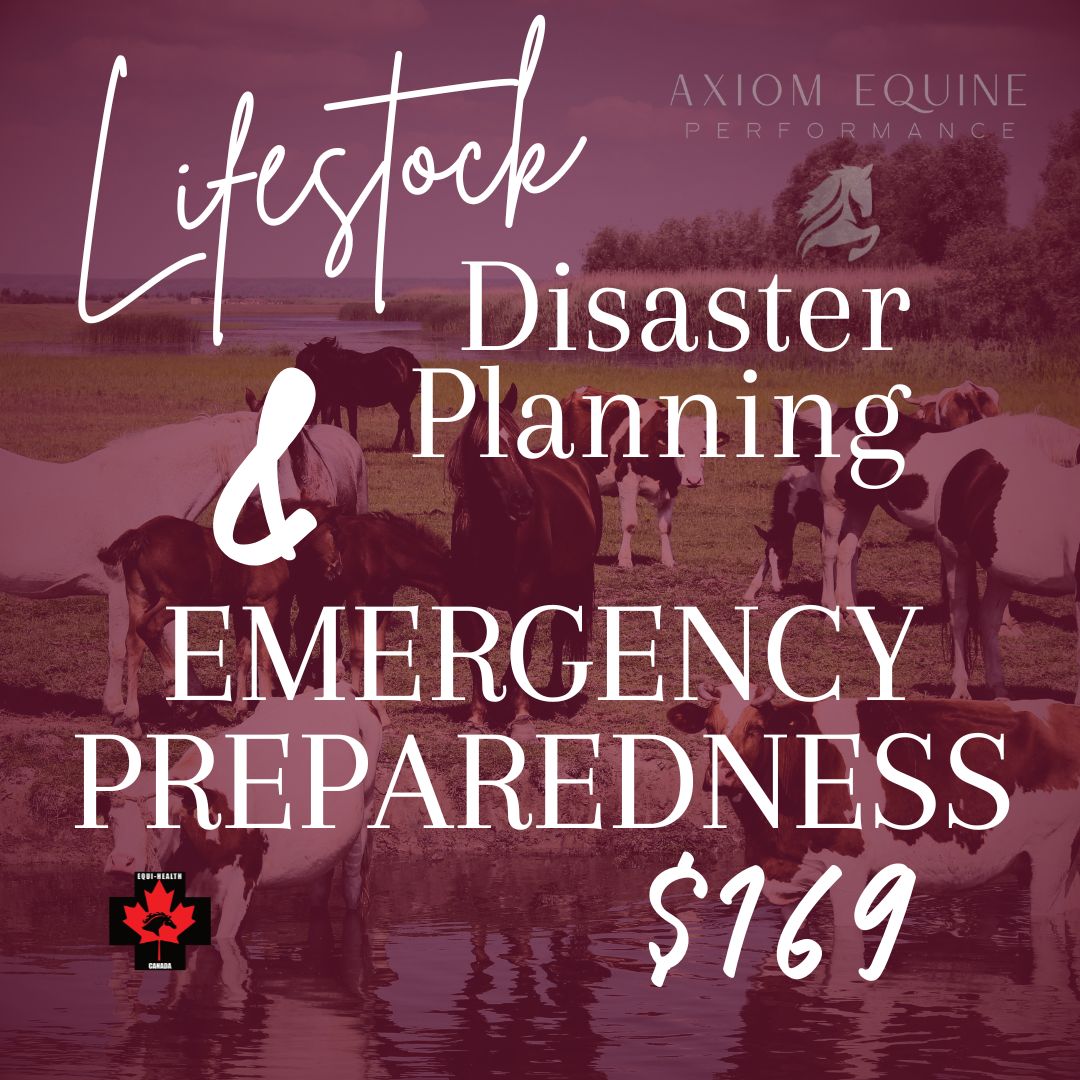 Disaster Planning & Emergency Preparedness (Full Day)