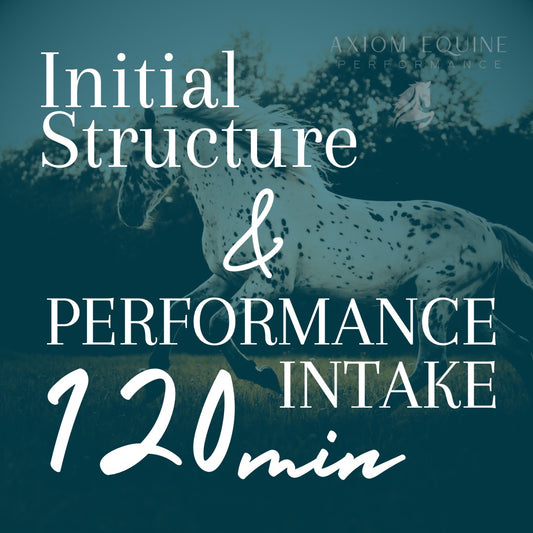 Initial Structure & Performance Intake (120 min)