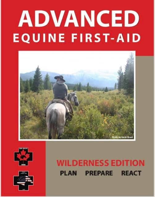 Advanced Wilderness & Remote First Aid – Level 2 (Full Day)