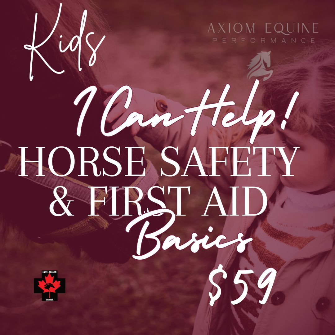 I Can Help! – Horse Safety & First Aid Basics for Kids (3 hrs)