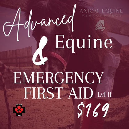 Advanced Equine Emergency First Aid – Level 2 (Full Day)