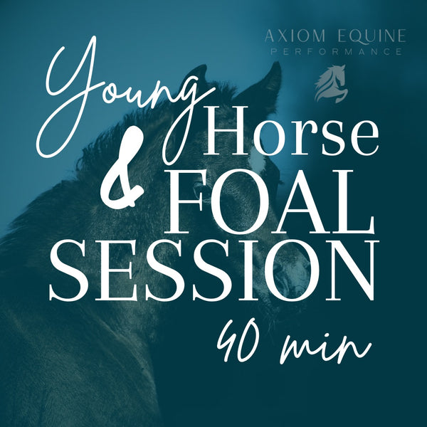 Young Horse & Foal Session (35 min)