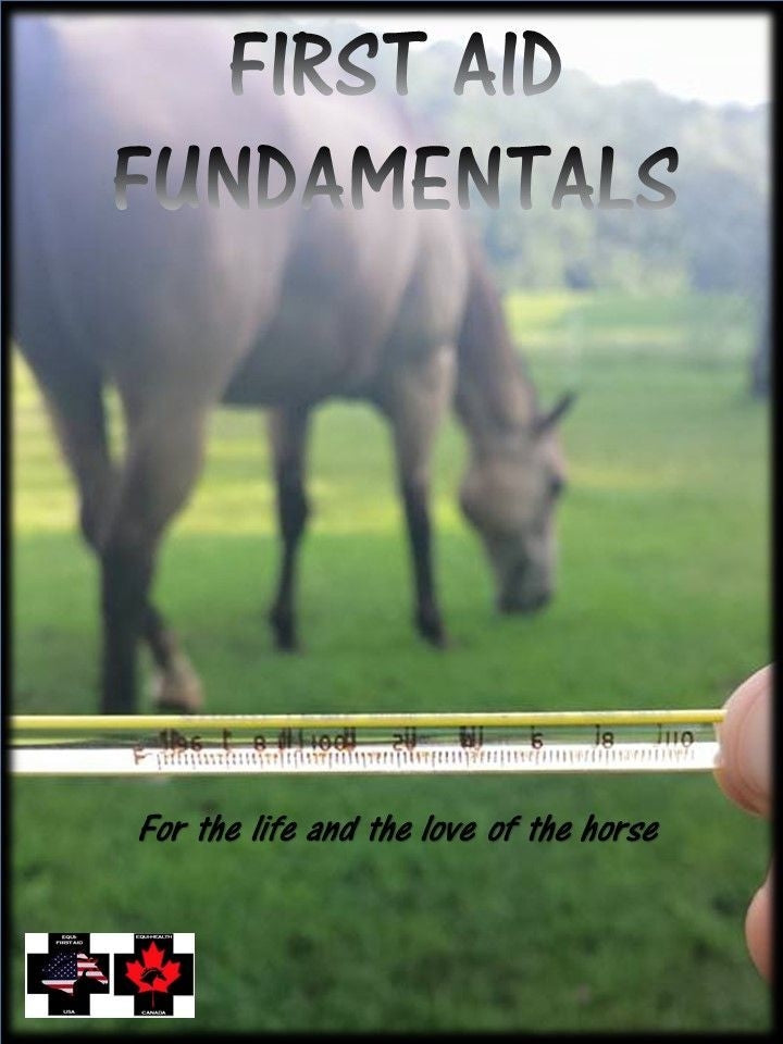 First Aid Fundamentals (Half Day – 3 hrs)