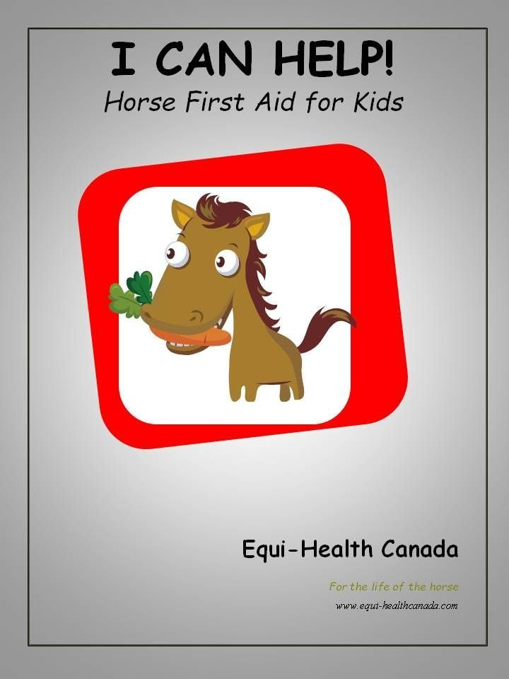 I Can Help! – Horse Safety & First Aid Basics for Kids (3 hrs)